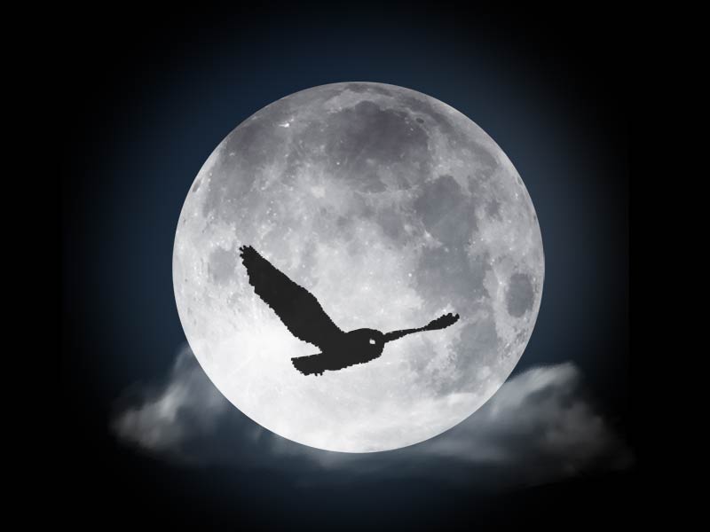 Moongiant > Next Full Moon